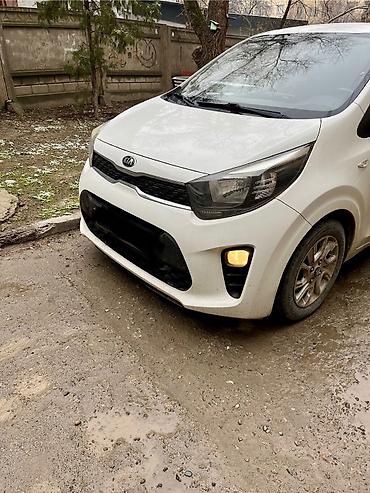 bus: Kia Picanto: 2020 г., Автомат, Бензин, Хэтчбэк — 1