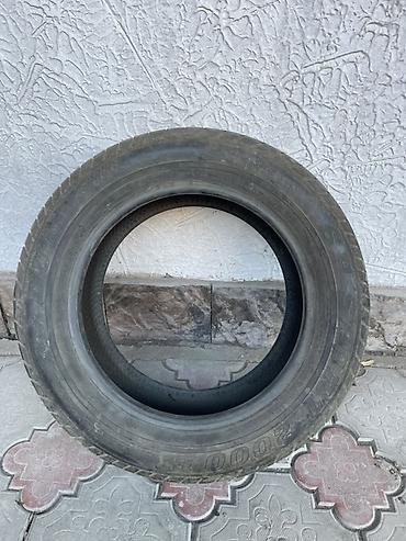 e klass: Шины 225 / 55 / R 16, Лето, Б/у, 1 шт, Легковые, Япония, Dunlop — 1