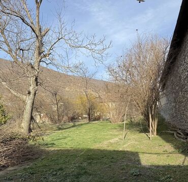 8 sot, Tikinti, Mülkiyyətçi, Kupça (Çıxarış)
