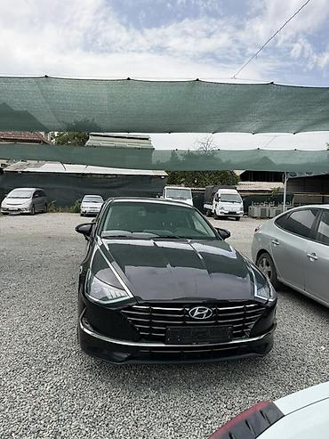 sonata: Hyundai Sonata: 2021 г., Газ, Лифтбек — 1