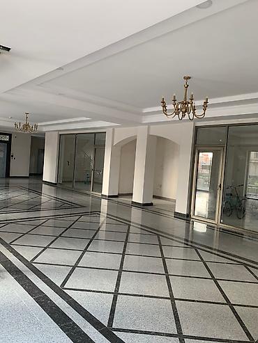 Долгосрочная аренда квартир: 3 комнаты, Собственник, С мебелью полностью — 20