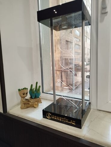 Stol lampaları: 3D lampalar. 7 rəng çalarları və sinxron rejim özü rəngləri dəyişir — 8