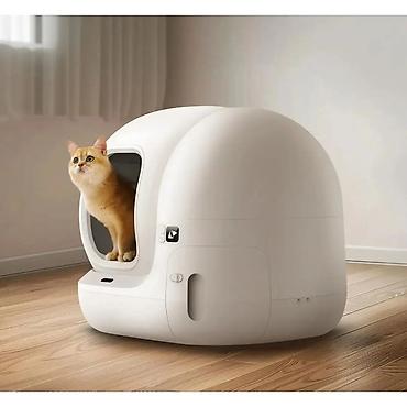heyvan yeml: Petkit Pura Max 2 (P9902) – ağıllı avtomatik pişik tualeti Pişik — 1
