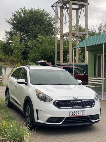 электромобиль neta: Kia Niro: 2019 г., 1.6 л, Автомат, Гибрид, Хэтчбэк