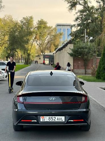 соната желтый: Hyundai Sonata: 2022 г., 2 л, Автомат, Газ, Седан — 5