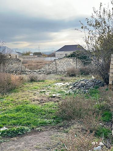 yeni emlak kiraye: 8 sot, Tikinti, Mülkiyyətçi, Bələdiyyə — 4