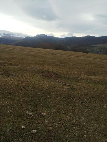 Torpaq sahələrinin satışı: 130 sot, Kənd təsərrüfatı, Kupça (Çıxarış) — 17