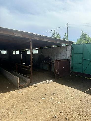 Продажа коттеджей и домов: 🏡 Участок 6 соток с удобным расположением и заездами с двух разных — 13