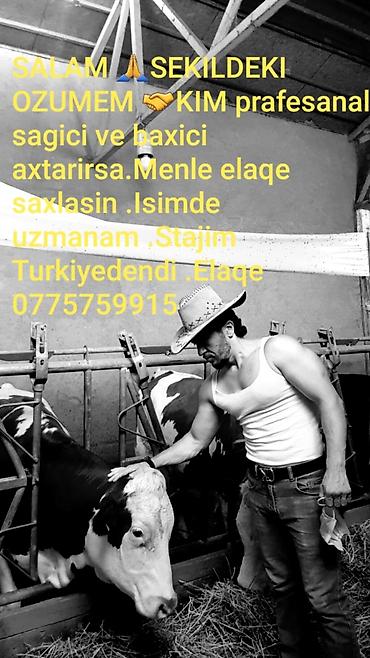 İş axtarıram (rezümelər): Fermer, Kişi, 775759915 yaş, 5 ildən artıq təcrübə — 1
