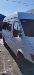 обмен с доплатой: Mercedes-Benz Спринтер: 1999 г., 2.9 л, Механика, Дизель, Бус