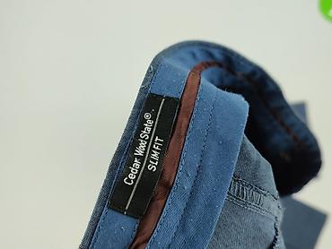 ecko: Cedar Wood State, Spodnie garniturowe męskie, rozmiar M — 4