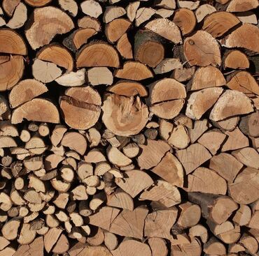 Daske za peglanje: Prodajemo samo holm hrastovo drvo isečeno za 33cm-50cm   Mešavina