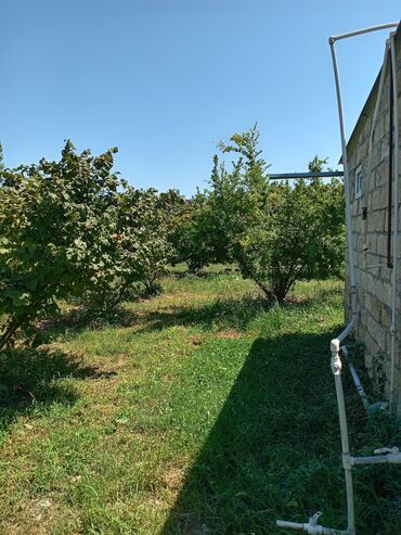 Bağ evlərinin satışı: Xaçmaz, 85 kv. m, 3 otaqlı -da lalafo.az — 14 Bağ evlərinin satışı: Xaçmaz, 85 kv. m, 3 otaqlı — 14