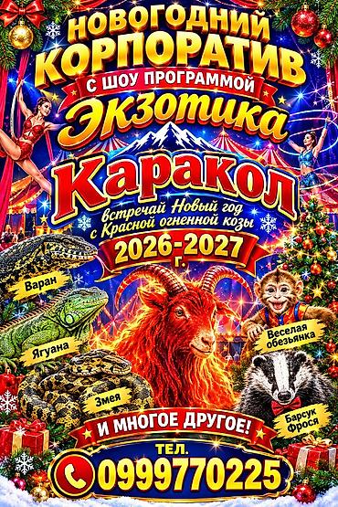 used bed: Новогоднее шоу-программа «Экзотика» — Каракол - Яркое праздничное — 1