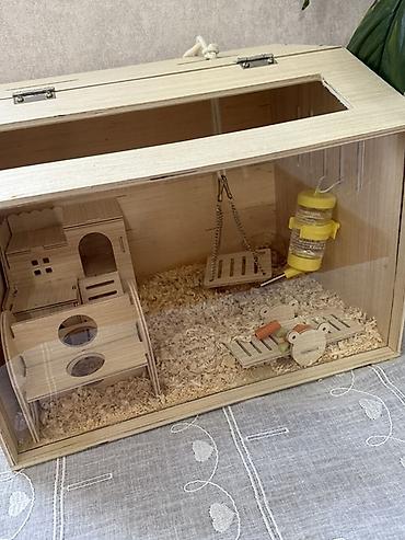 Клетки: Taxta hamster evi və aksesuar dəsti / 2 balaca hamster (2 ayliq,hər — 1