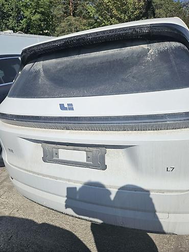 byd e1: Lixiang L7: 2026 г., Робот, Гибрид, Кроссовер — 9