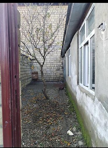 Uzunmüddətli kirayə mənzillər: Lənkəran şəhərində Həyət evi satılır Lənkəran şəhəri Şilavar Bravo — 13