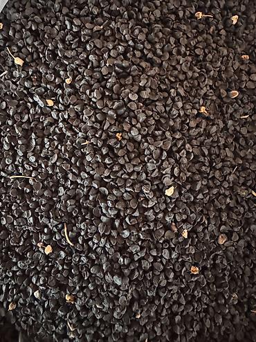 Toxumlar: ✨ 4 Mövsüm ✨ 🌱 Artıq evinizdə və bağçanızda təbii, dərmansız və — 9