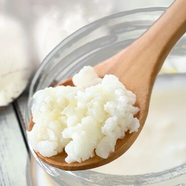 tort sifarisi catdirilma: Süd kefiri göbələyi (1 xörək qaşığı verilir) - Təbii kefir göbələyi-
