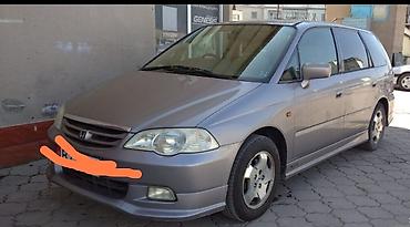 odyssey absolute: Honda Odyssey: 2001 г., 2.3 л, Типтроник, Бензин, Минивэн — 1