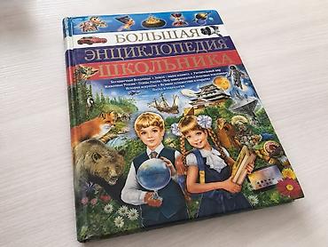 Большая энциклопедия школьника — универсальная книга для