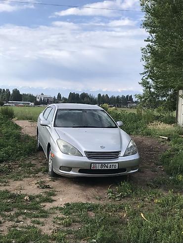 джели авто: Toyota Windom: 2002 г., 0.3 л, Автомат, Бензин, Седан — 1