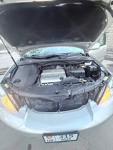 Lexus: Lexus RX: 2003 г., 3.3 л, Кроссовер — 19