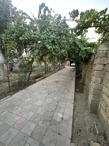 Həyət evləri və villaların satışı: 7 otaqlı, 200 kv. m, Kredit yoxdur, Orta təmir -da lalafo.az — 2 Həyət evləri və villaların satışı: 7 otaqlı, 200 kv. m, Kredit yoxdur, Orta təmir — 2