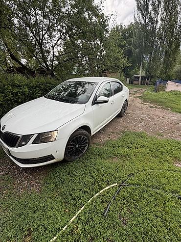 авто полироль: Skoda Octavia: 2018 г., 1.6 л, Автомат, Бензин, Седан — 6