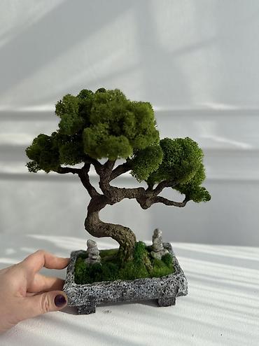 Другой декор и предметы интерьера: Декоративное дерево бонсай, выполненное из стабилизированного мха — 4