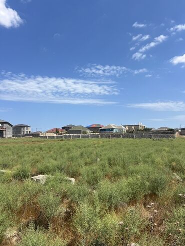 Tikinti