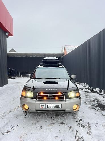 Subaru: Subaru Forester: 2004 г., 2.5 л, Типтроник, Газ, Внедорожник — 4