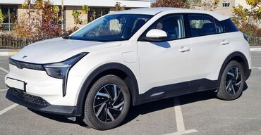 BYD: BYD : 2022 г., Автомат, Электромобиль, Кроссовер — 1