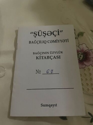 Torpaq sahələrinin satışı: 6 sot, Mülkiyyətçi, Bələdiyyə