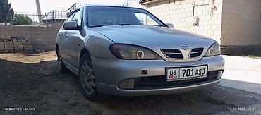 maxima j30: Nissan Primera: 1999 г., Седан — 1