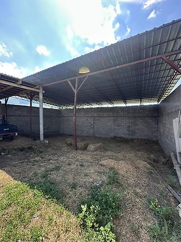 нижний токолдош: 📍 В Сокулукском районе в селе Тош- Булак продаётся усадьба у подножья — 9