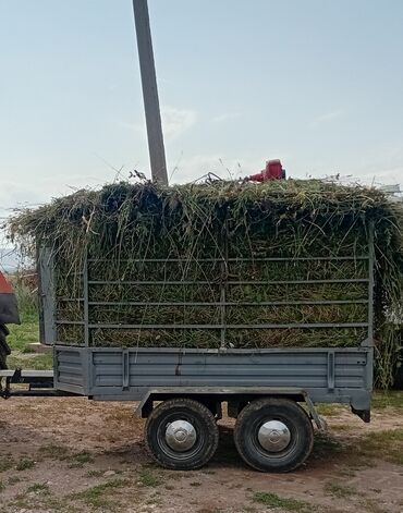 грузовой автомобиль бишкек цена: Прицеп, Бортовой, до 3,5 т