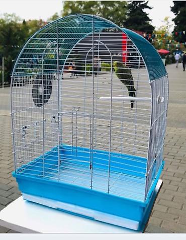 Tutuquşları: Bala Valnisti 9azn Boş qəfəs 9azn 1 bala quş +Qəfəs +Suqabı+Yemqabı — 12