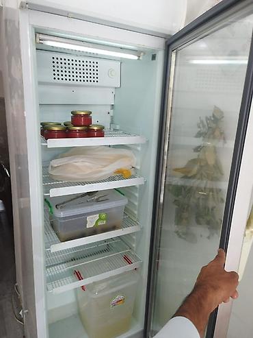 Soyuducu vitrinləri: Şüşə qapılı vitrin tipli kommersiya soyuducusu - Tək qapılı, şüşə — 3