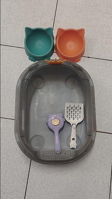 pişik darağı: Pişik üçün aksesuar dəsti. - Tualet qabı: geniş, oval formalı — 1