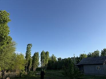 Продажа коттеджей и домов: Продаётся жилой дом. - Большой зелёный участок с деревьями и — 10