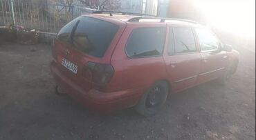 нисса примера: Nissan Primera: 1997 г., 2 л, Механика, Дизель, Универсал