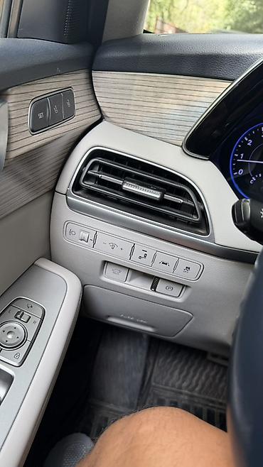 азия пелес: Hyundai Palisade: 2020 г., 3.8 л, Автомат, Бензин, Кроссовер — 6
