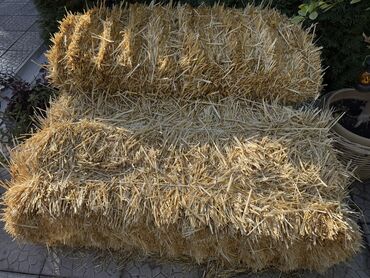 бычак набор: Тюки соломы (прямоугольные) 6 штук - Прессованные прямоугольные тюки