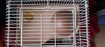soya yemi: Hamster qəfəsi və aksesuar dəsti - Kiçik gəmiricilər üçün iki — 4