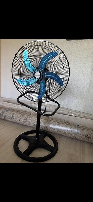 fan: Вентилятор Напольный, Лопастной — 1