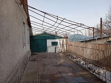 Деревянные штакетники: Деревянные штакетники, Покраска забора — 5