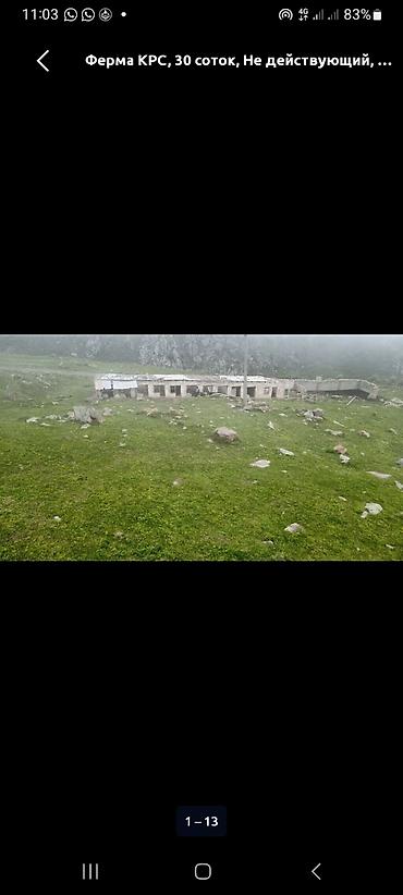 кашао: СРОЧНО! СРОЧНО! СРОЧНО! КАШАР САТЫЛАТ ! ЖЕ ИЖАРАГА БЕРИЛЕТ! Жайыттары — 10
