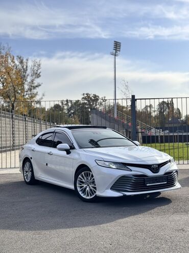 амортизаторы камри 30: Toyota Camry: 2019 г., Автомат, Бензин, Седан