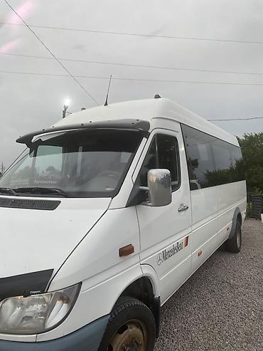 smart box: Mercedes-Benz Sprinter — длиннобазный пассажирский микроавтобус белого — 4